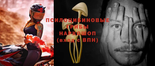 спиды Зеленокумск