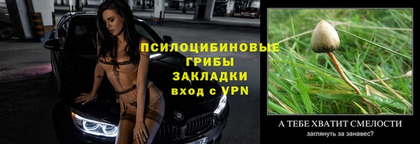 индика Зерноград