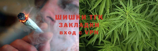 индика Зерноград