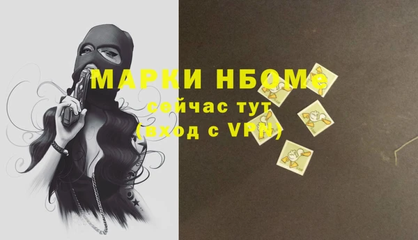 индика Зерноград