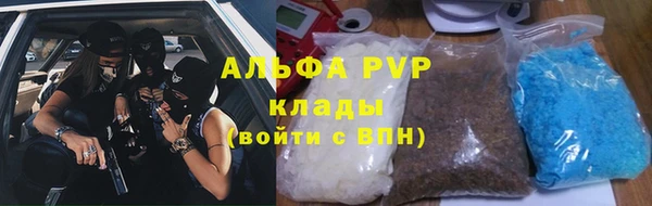 индика Зерноград