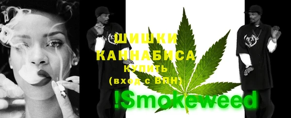 индика Зерноград