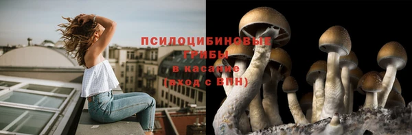 таблы Зеленодольск
