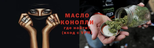 индика Зерноград