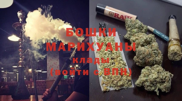 индика Зерноград