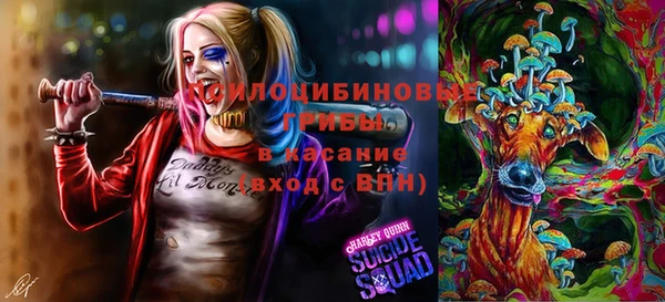 таблы Зеленодольск