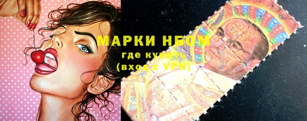 спиды Зеленокумск