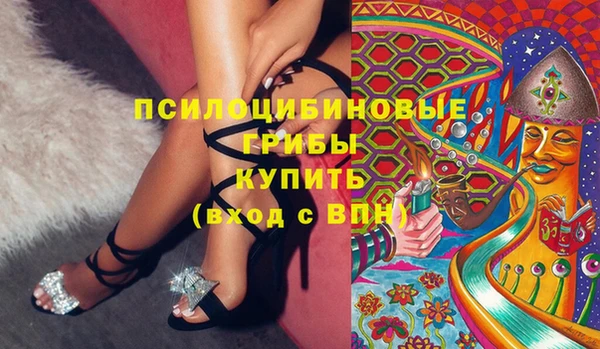 индика Зерноград