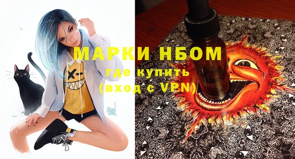 индика Зерноград