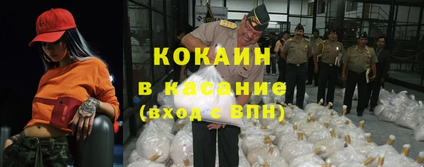 индика Зерноград