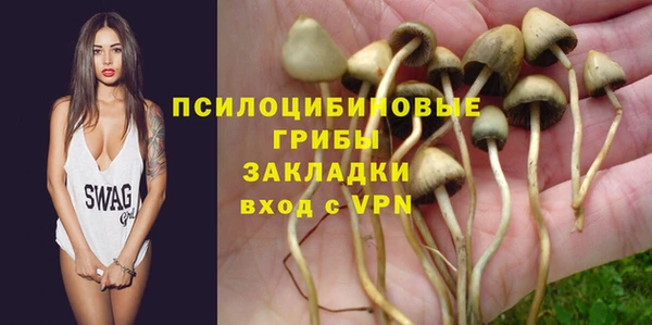 индика Зерноград