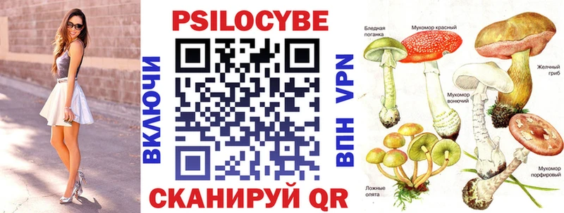 Псилоцибиновые грибы Psilocybe  купить наркотик  площадка клад  Жуковский 