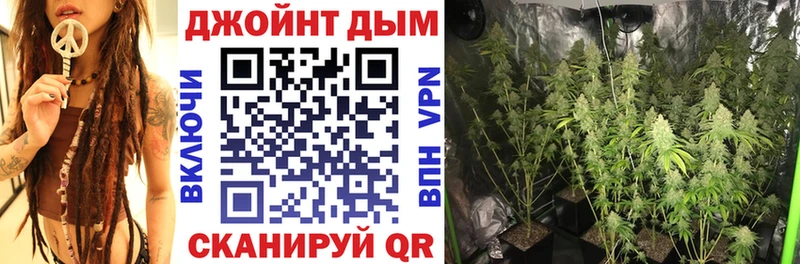 Бошки марихуана Ganja  Жуковский 
